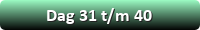 Dag 31-40